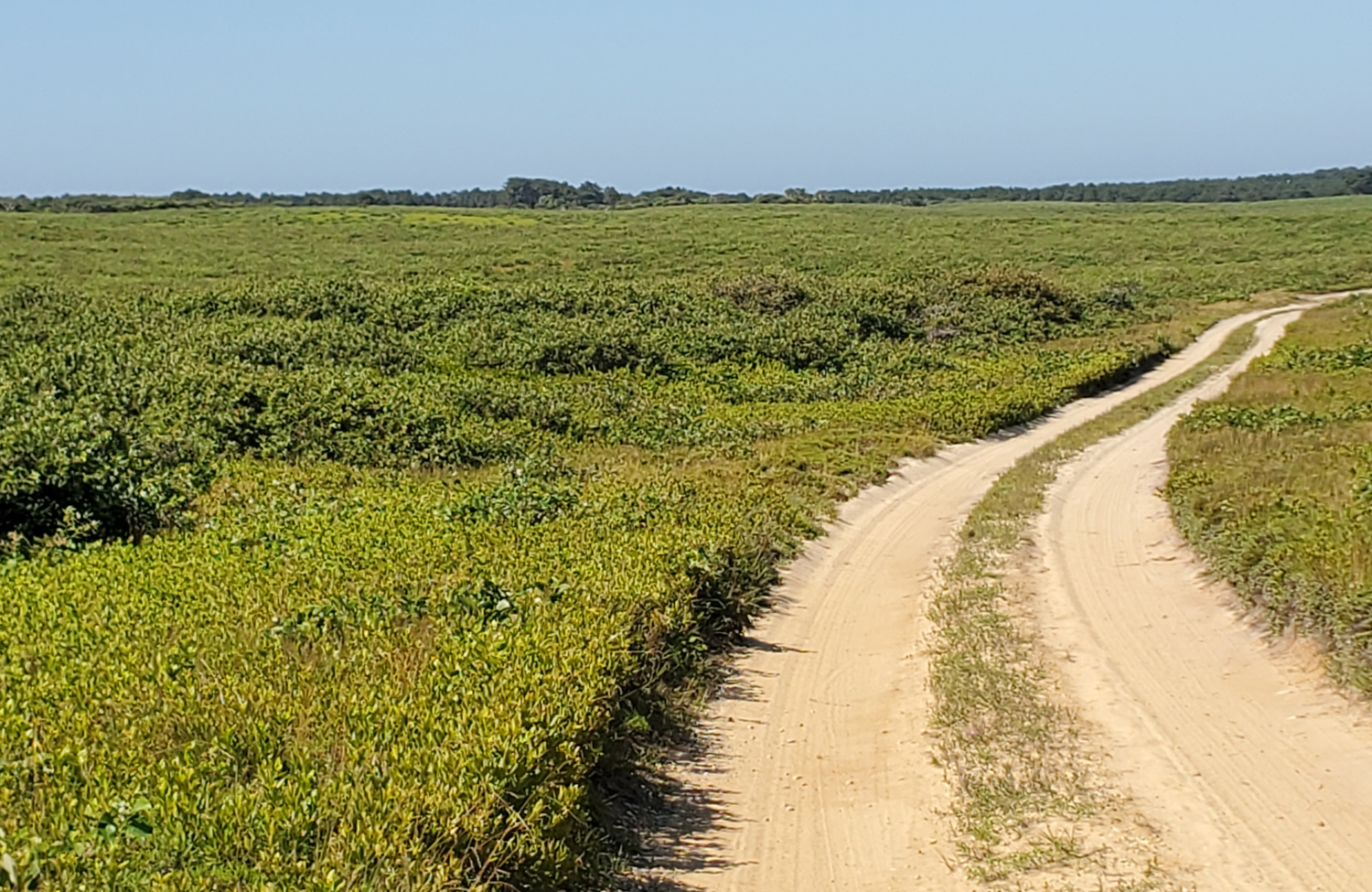 Take a Virtual Tour of Nantucket, Rent a Jeep Nantucket Island Rent A Car